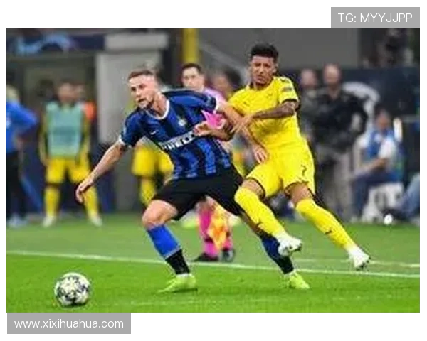 亚特兰大拉斯帕多里小腿伤缺席欧冠对阵多特